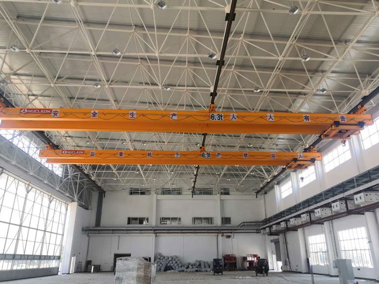 Explosion-proof Multi-point Suspension Crane