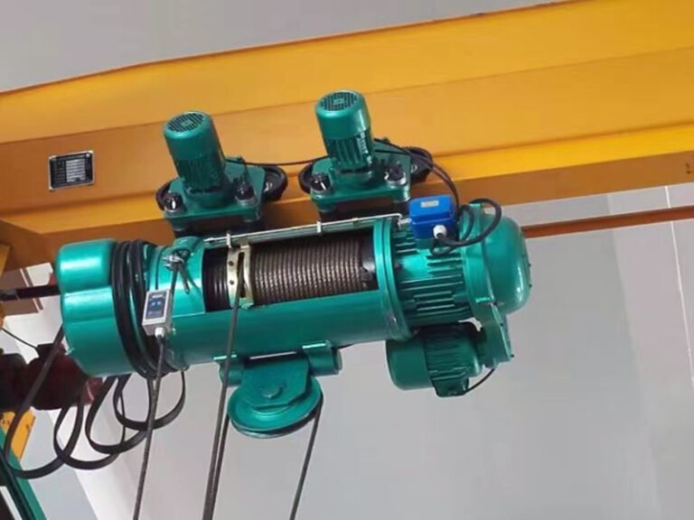 Electric hoist with dual motors installed
