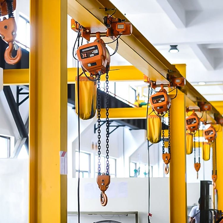 FEM Standard Electric Chain Hoists
