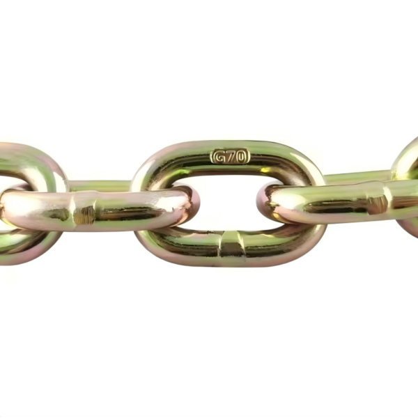 NACM 2010 G70 Transport Chain